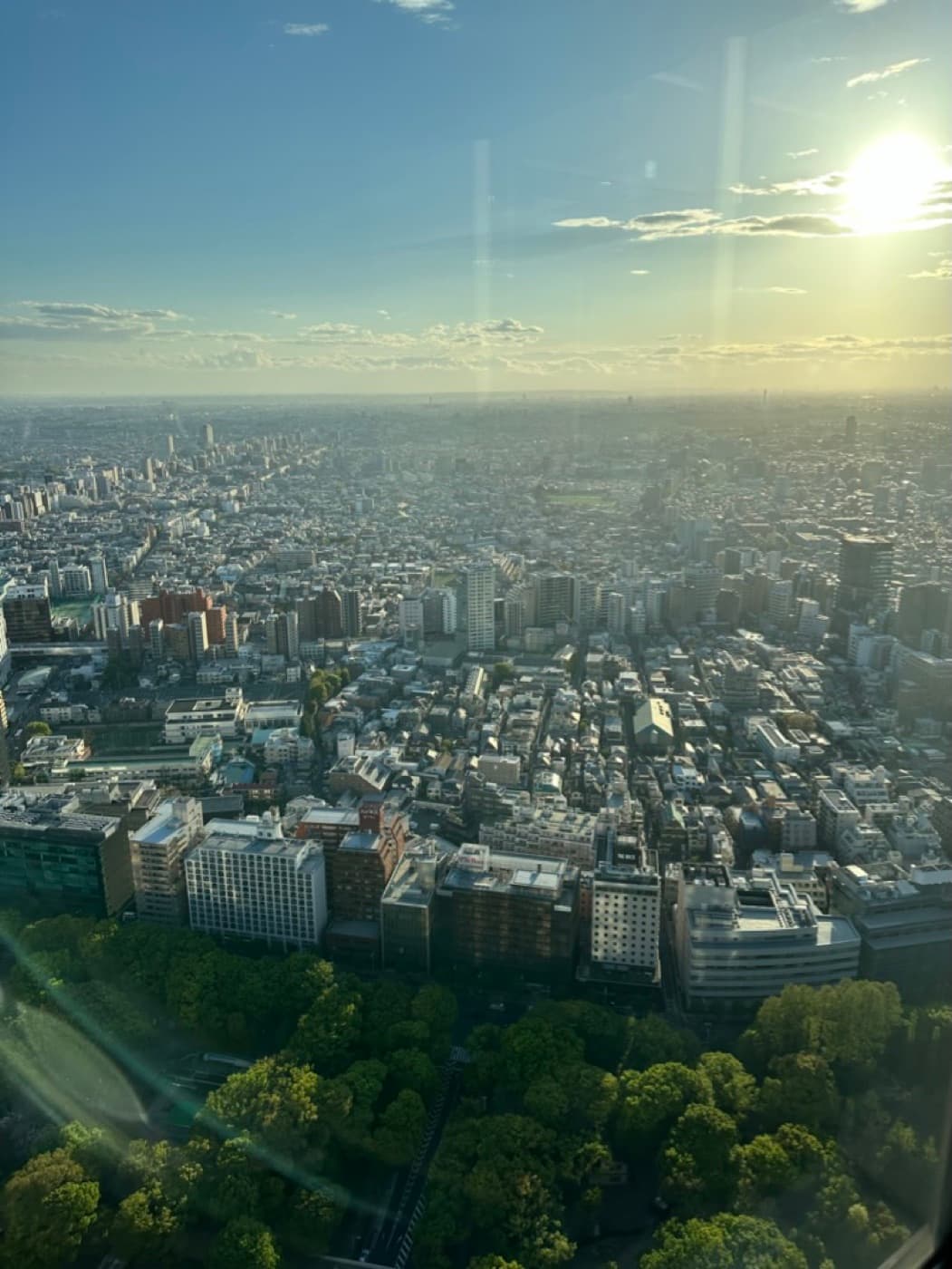 Blick vom Rathaus in Shinjuku über Tokio bis zum Horizont, im Vordergrund ein grüner Park