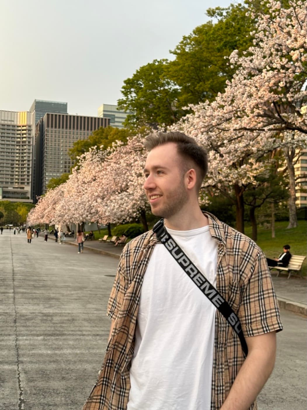 Blühende Kirschbäume am Kaiserpalast in Tokio