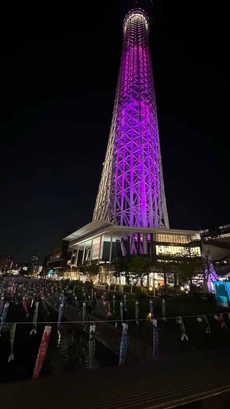 Der violett beleuchtete Tokyo Skytree bei Nacht, im Vordergrund bunte Karpfenwimpel